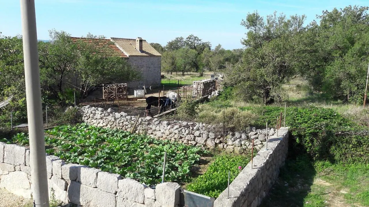 סטאריגרד-פקלניצה Holiday Home Paklenica