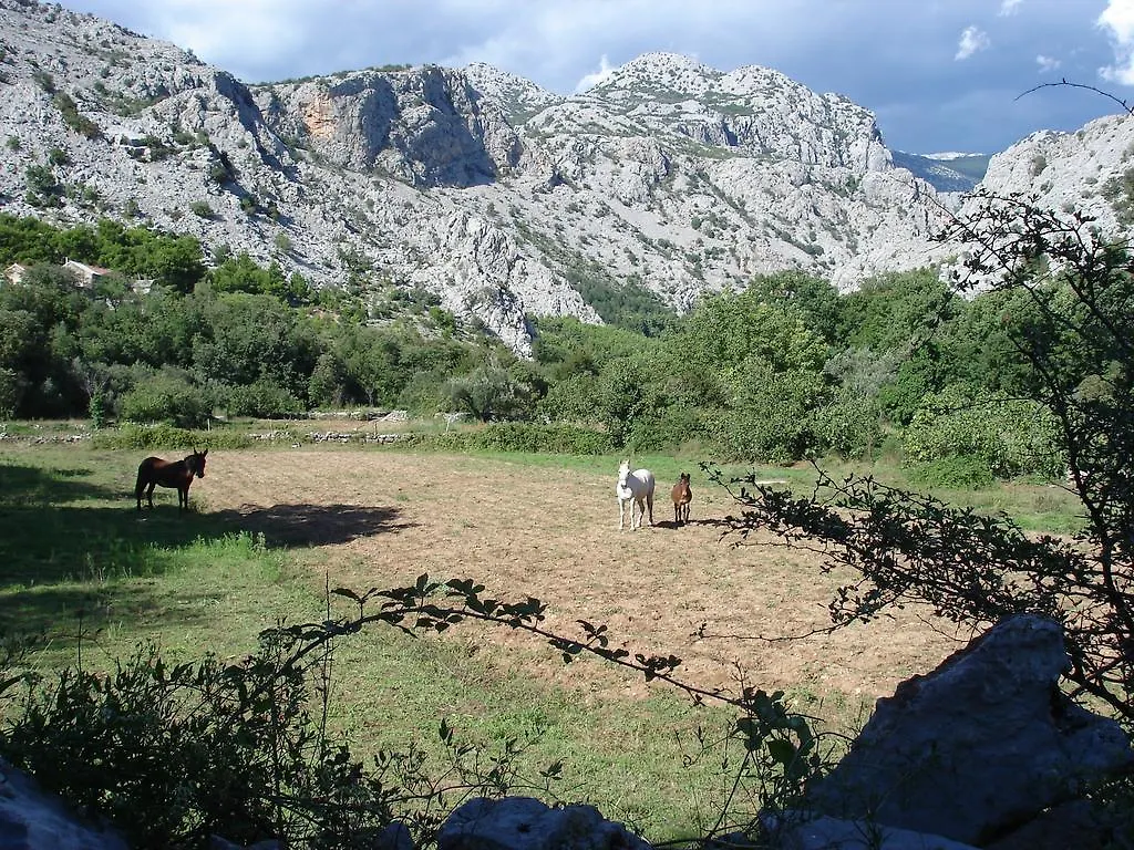 Holiday Home Paklenica Stari Grad