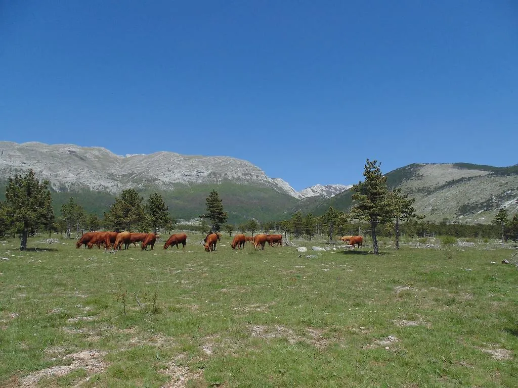 Holiday Home Paklenica Stari Grad